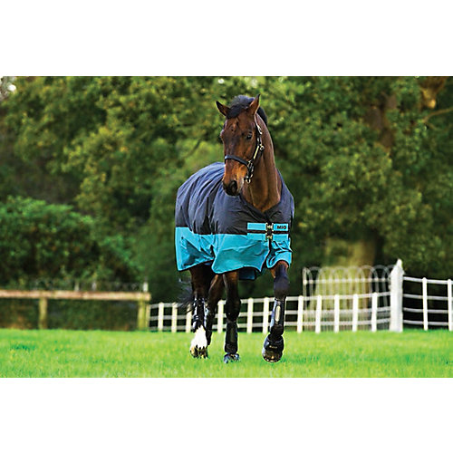 122612861-1-2 horsewere paddok
200gr 125 - immagine 1
