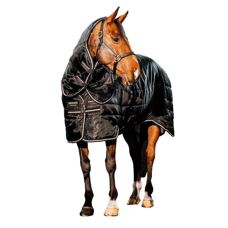 1269900685-1 horsewere coperta box
400gr 140 - immagine 1
