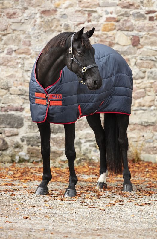 154667466-1-3 horsewere 150gr 130 - immagine 1