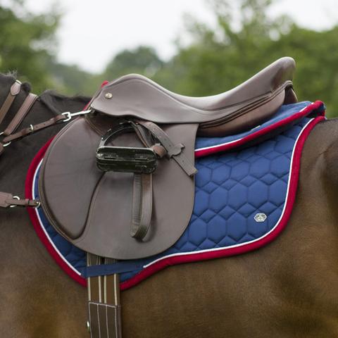 239465825-1 qhp sottosella eldorado pony - immagine 1