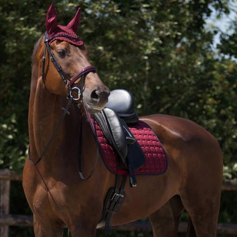 245934252-1 qhp
sottosella dressage bianco - immagine 1