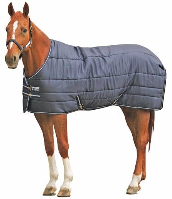 48903674-1-5 horsewere 350gr 160 - immagine 1
