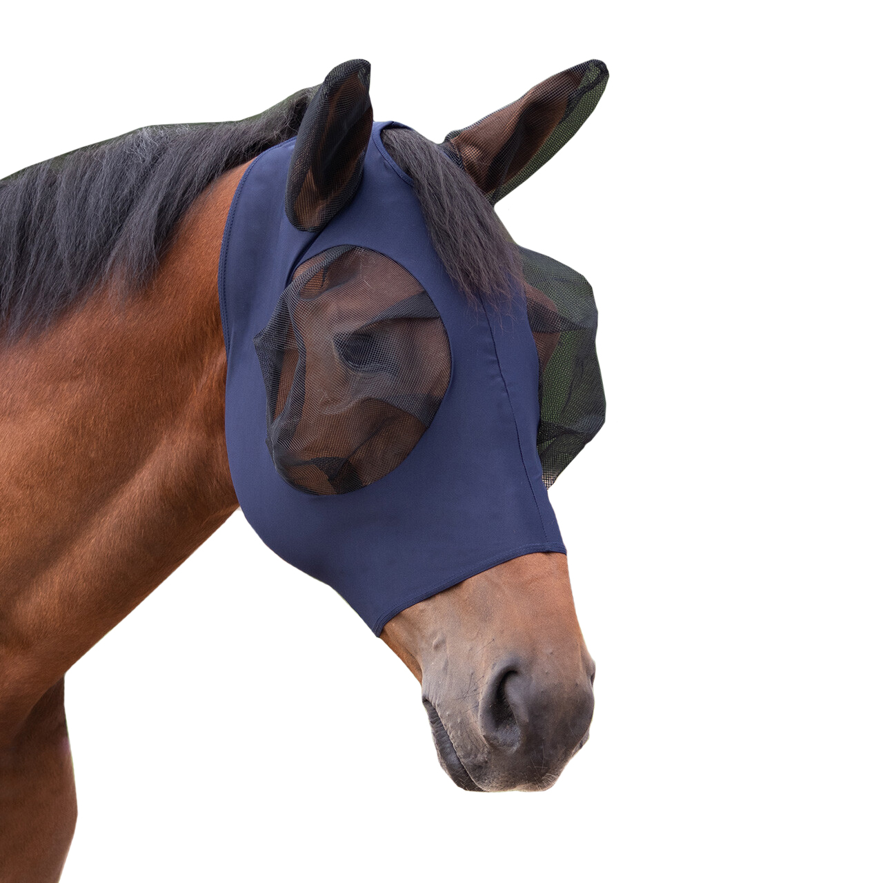 534078924-1 maschera lycra
shetty - immagine 1