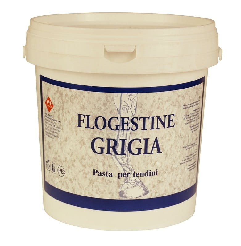 813381437-1-1 FM Italia flogestina grigia - immagine 1