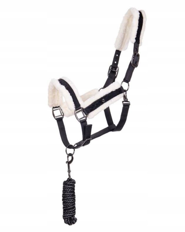 1325119521-1-1 qhp cavezza abbinata - immagine 1